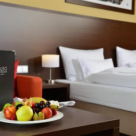 ホテル Aribo Erbendorf