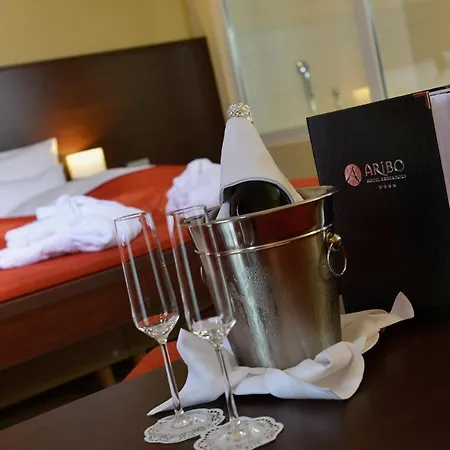 Hotel Aribo 4*
